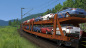 Preview: Laaers-Autotransporter