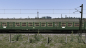 Preview: Silberlinge "Prototyp"
