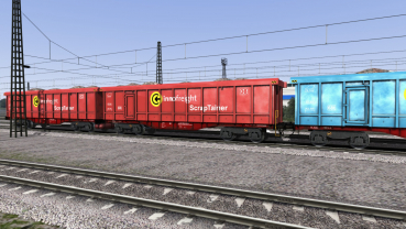 Sggrrs Containertragwagen
