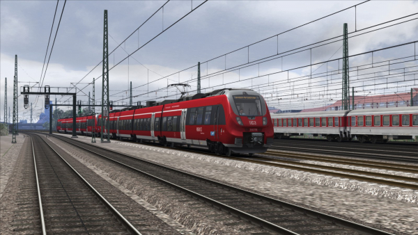 Doppelpack G7-Einsatz