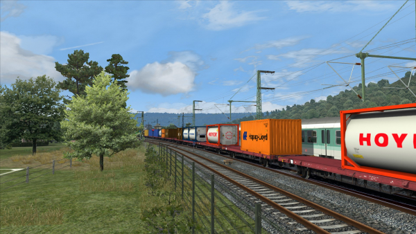 Lgs 580 CE-Containerwagen