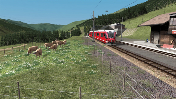 Heidi Express