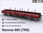 Pro Train ® Remms 665 (TRS)